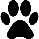 Paw Icon